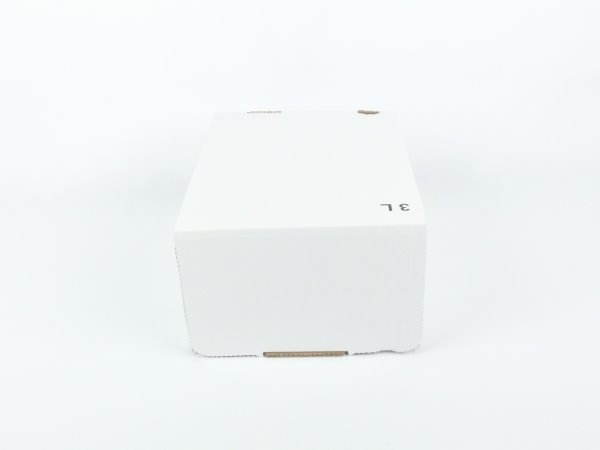 Karton Bag in Box 3 Liter weiß, Saftkarton, Faltkarton, Apfelsaft-Karton, Saftschachtel, Schachtel. - 3